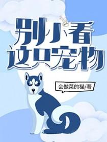 别小看这只宠物 别小看这只宠物