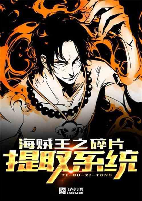 海贼王之碎片提取系统 海贼王之碎片提取系统